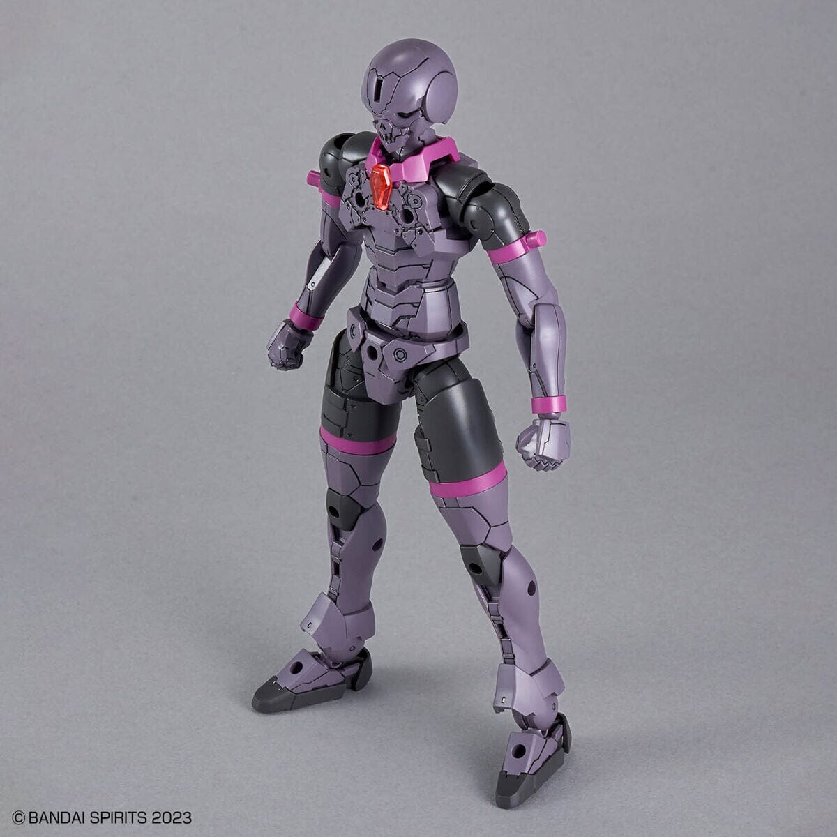 30 Minutes Fantasy Rosan Priest Model Kit