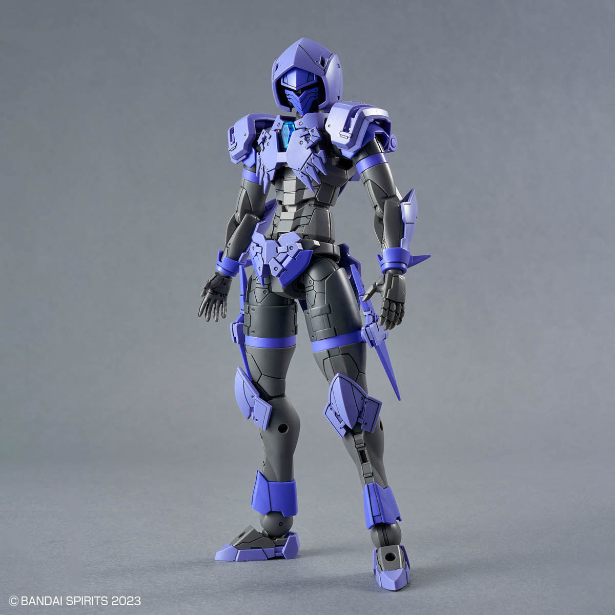 30 Minutes Fantasy Liber Assassin Model Kit