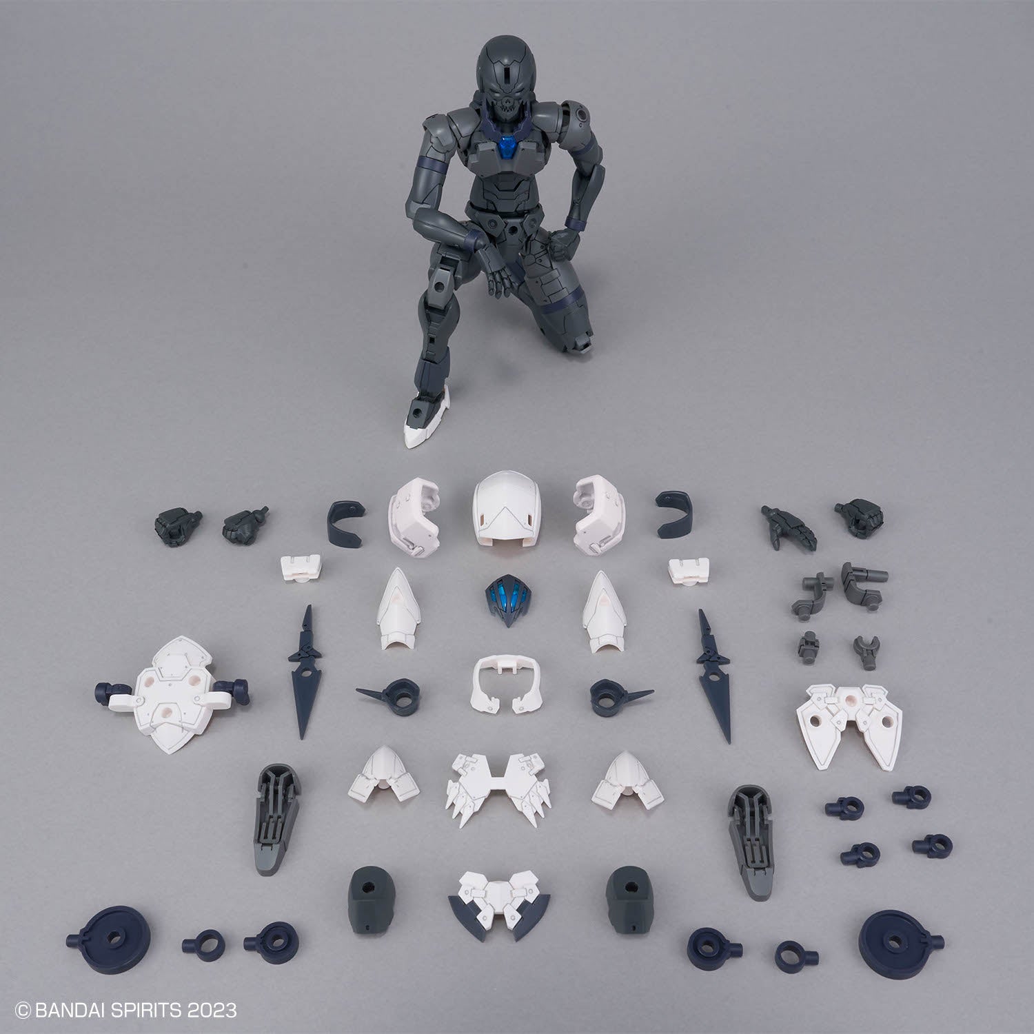 30 Minutes Fantasy Rosan Assassin Model Kit