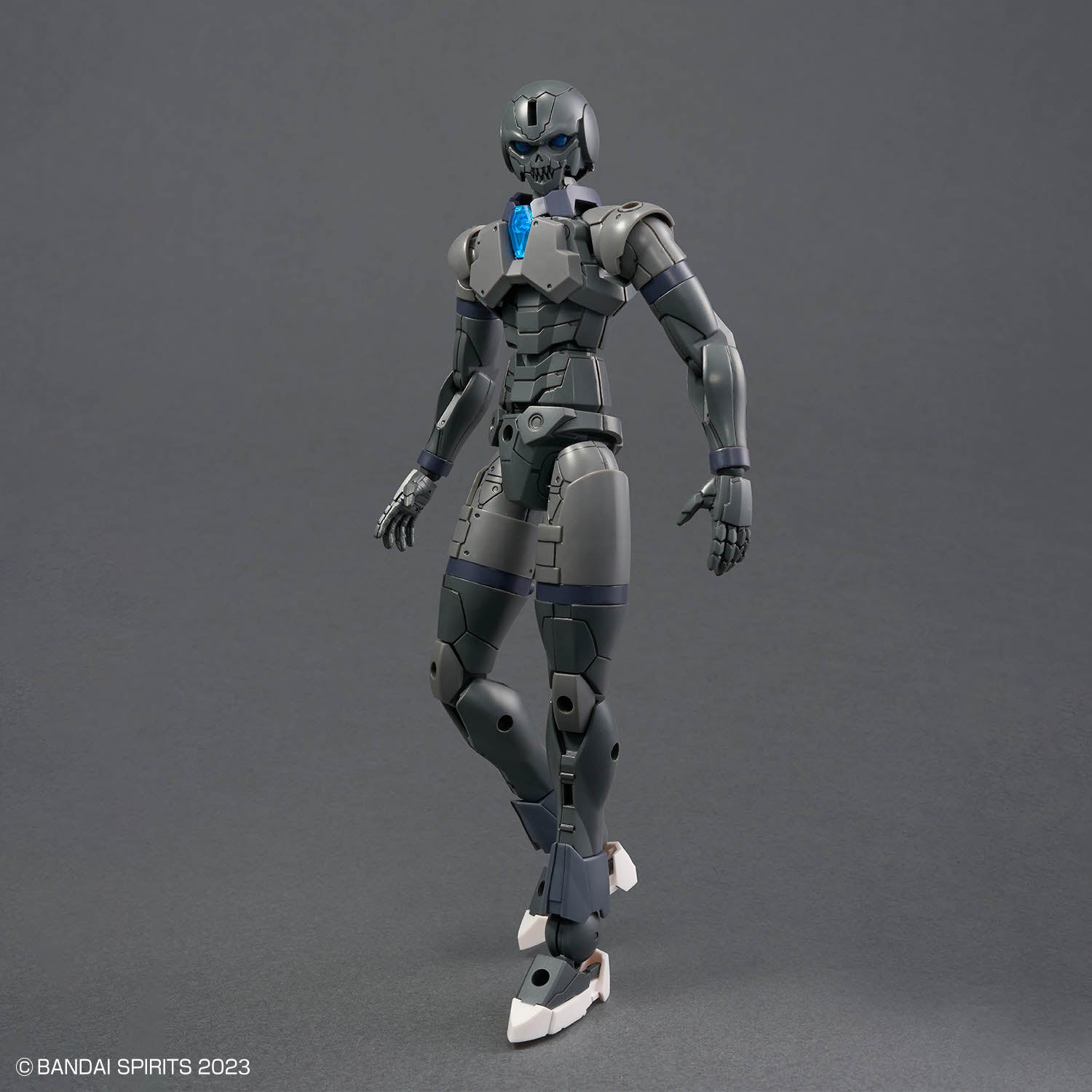 30 Minutes Fantasy Rosan Assassin Model Kit