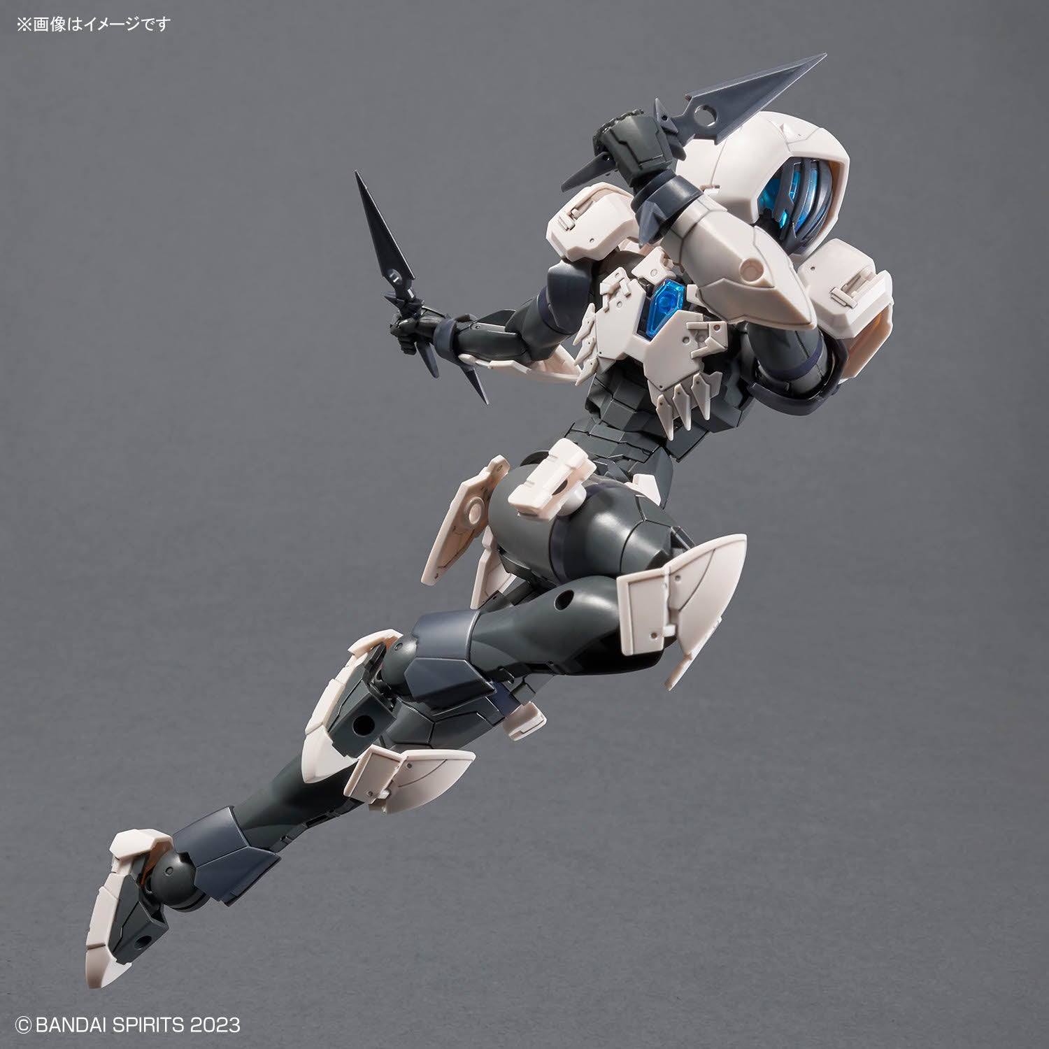 30 Minutes Fantasy Rosan Assassin Model Kit