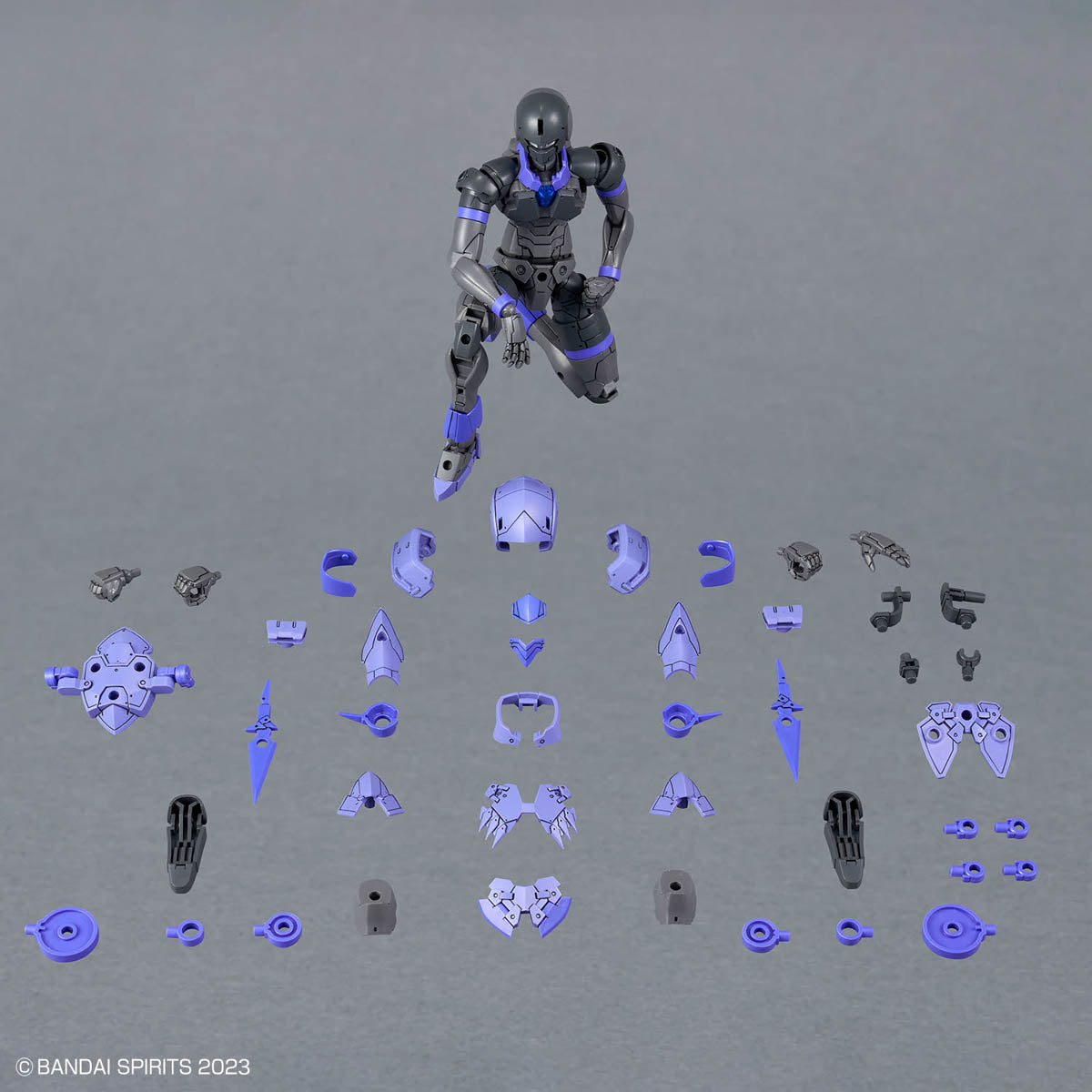 30 Minutes Fantasy Liber Assassin Model Kit