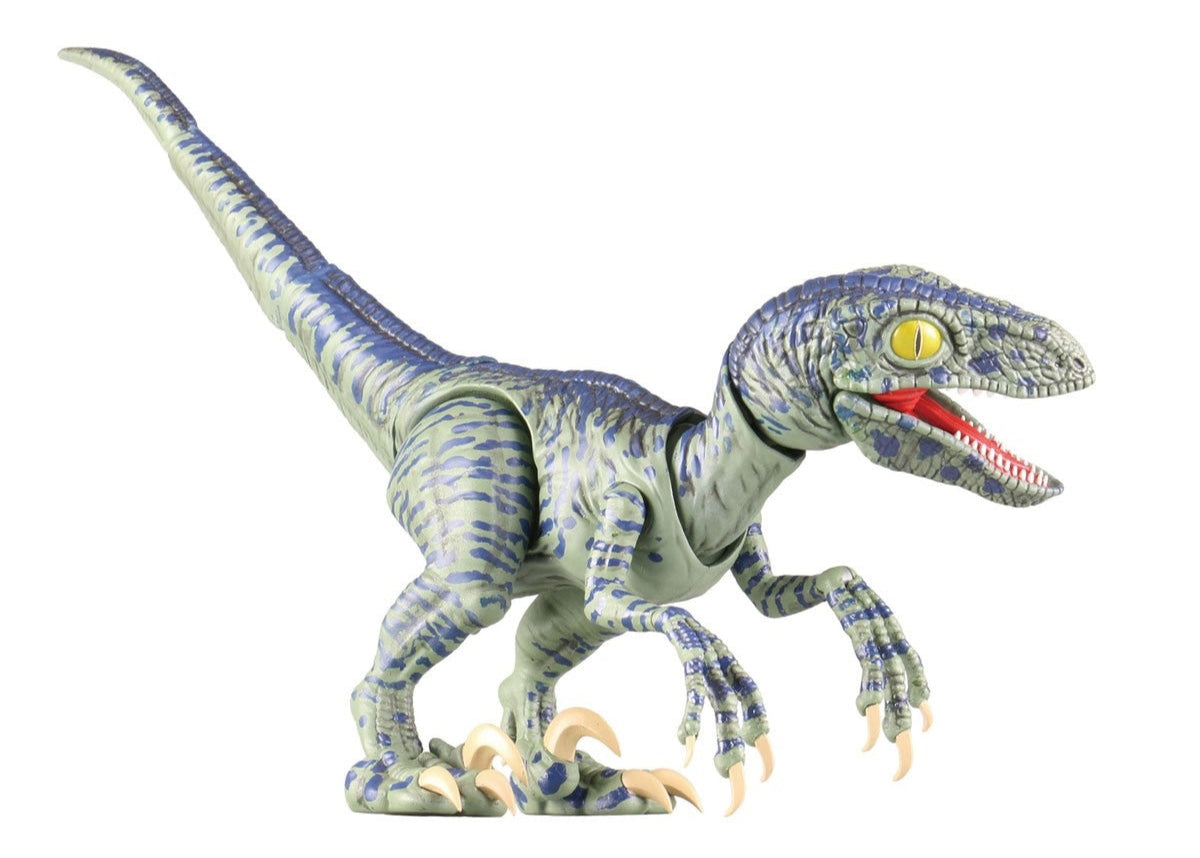 Fujimi Velociraptor (Crayon Shin-chan the Movie Our Dinosaur Diary) Package Version