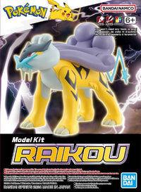 Pokemon Select Series 10 Raikou Model Kit