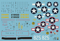 Arma Hobby 1/48 P-39 Airacobra Recon