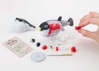 Blowfish Kaitai Puzzle