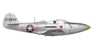 Arma Hobby 1/48 P-39 Airacobra Recon