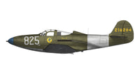Arma Hobby 1/48 P-39 Airacobra Recon