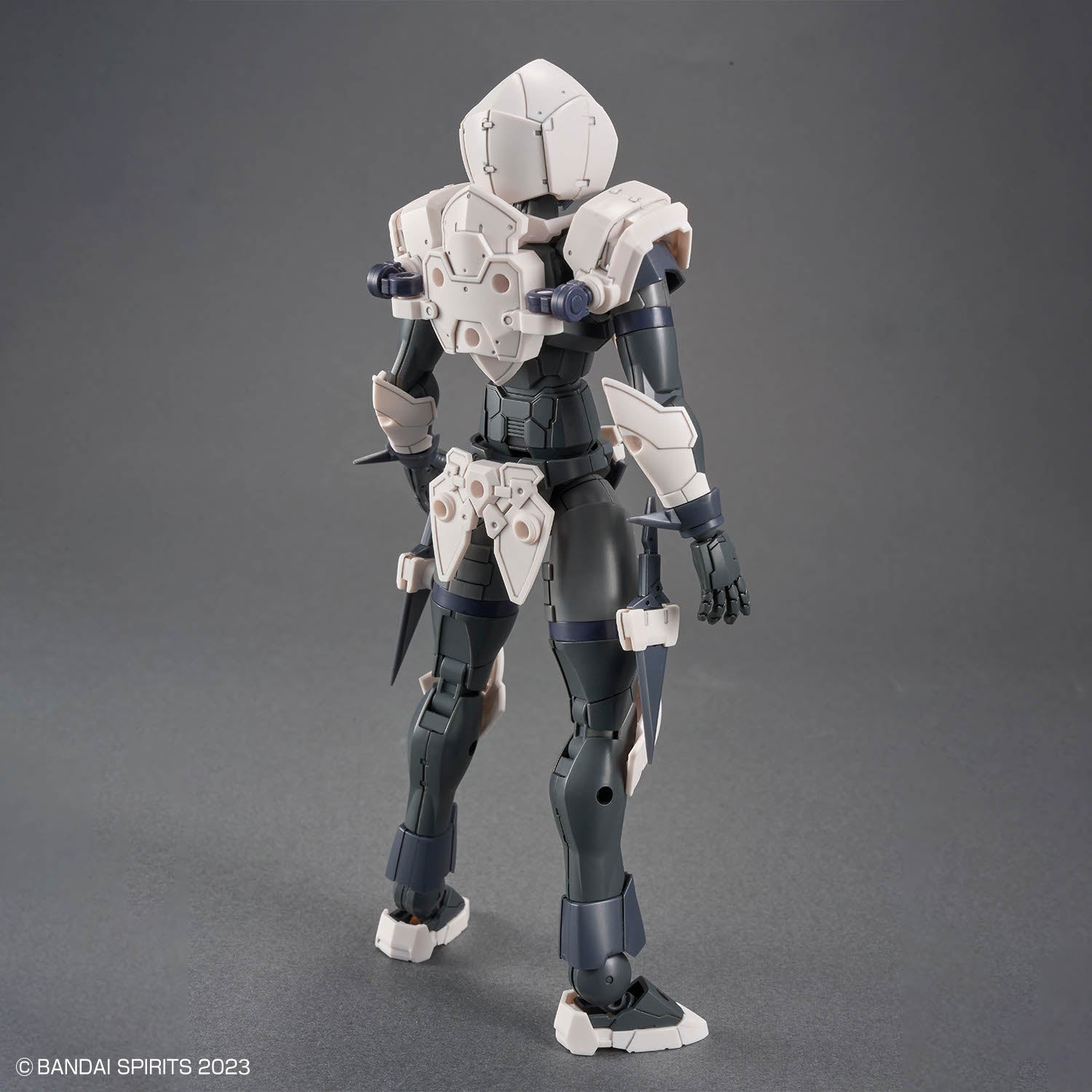 30 Minutes Fantasy #11 Rosan Assassin Model Kit – USA Gundam Store
