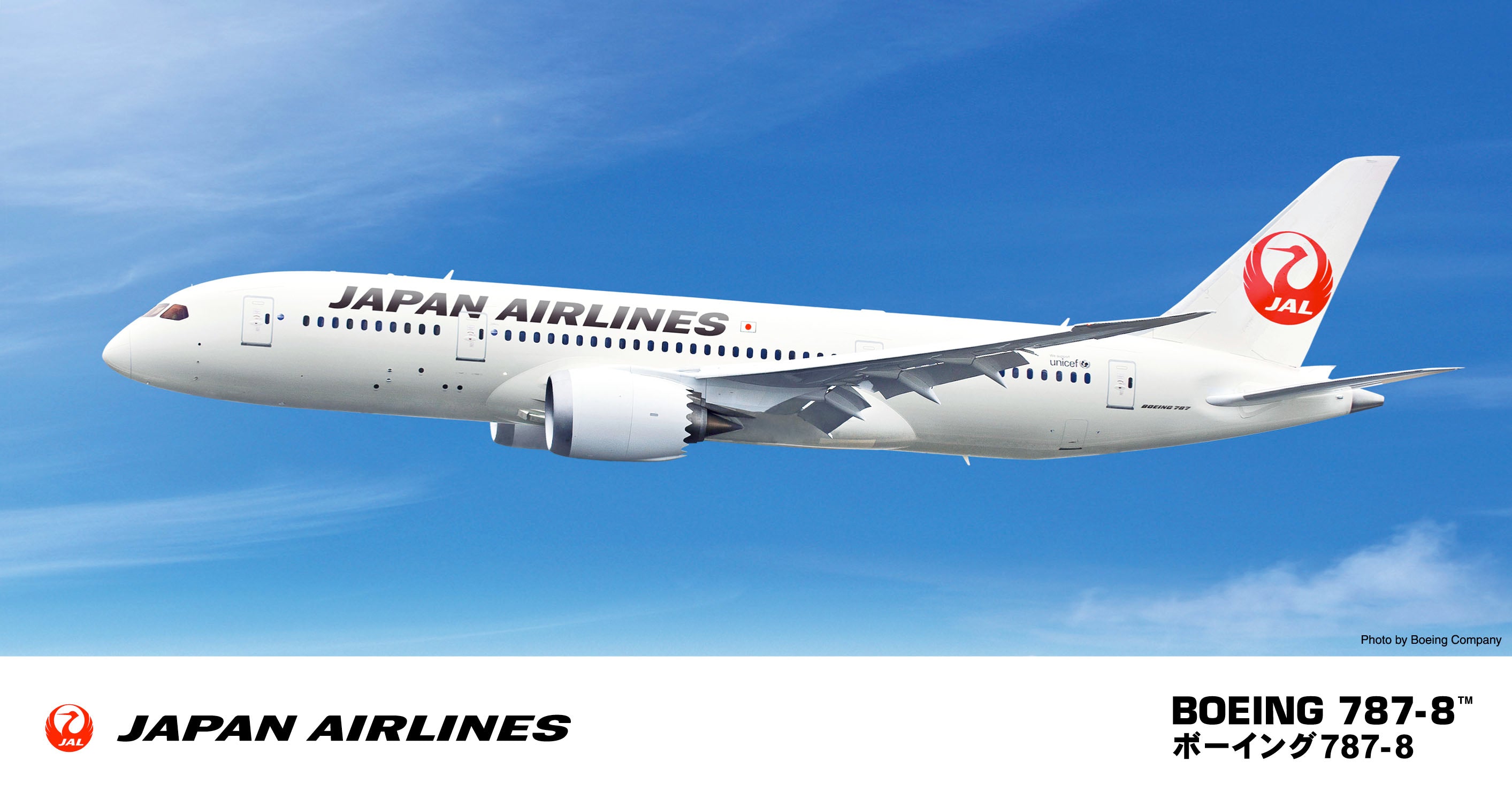 Hasegawa 1/200 JAL Boeing 787-8