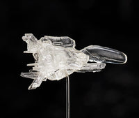 R-Type figma SP-113 Dobkeratops Figure