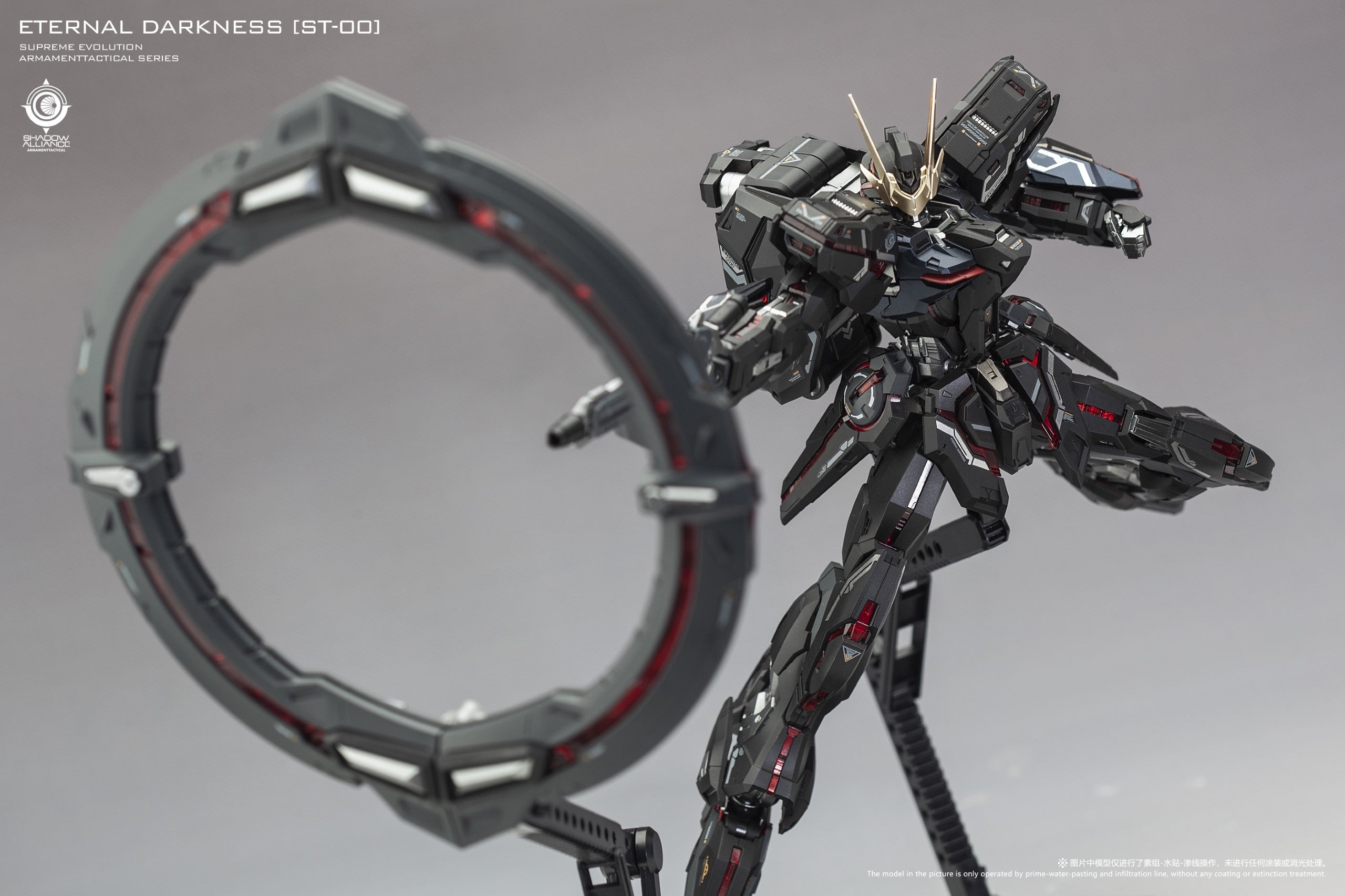 Eternal Darkness Limited Edition Model Kit (ST-00) Star Glory