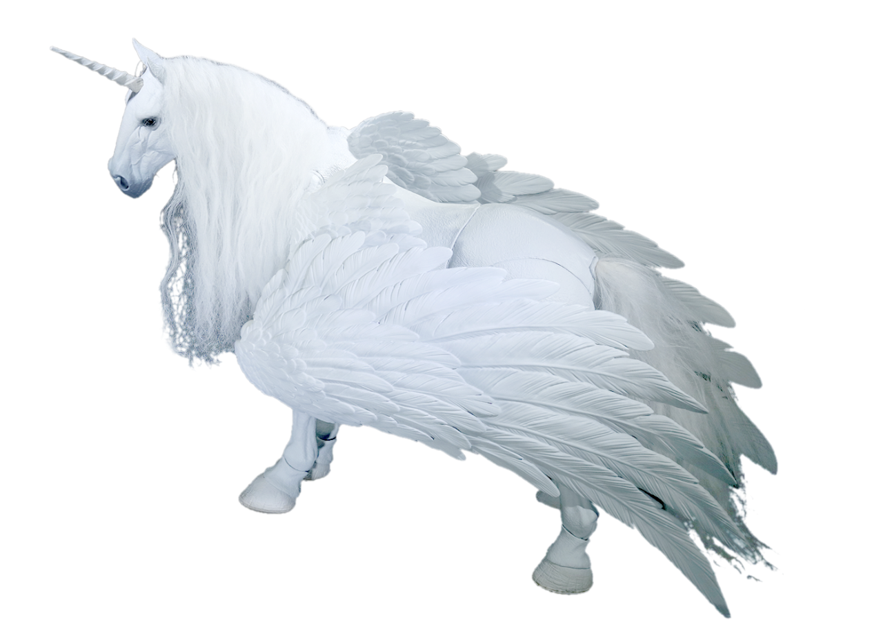 FISHTOYS HY-040 Pegacorn Lumina 1/12 Scale Action Figure