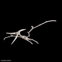 Plannosaurus Pteranodon Model Kit