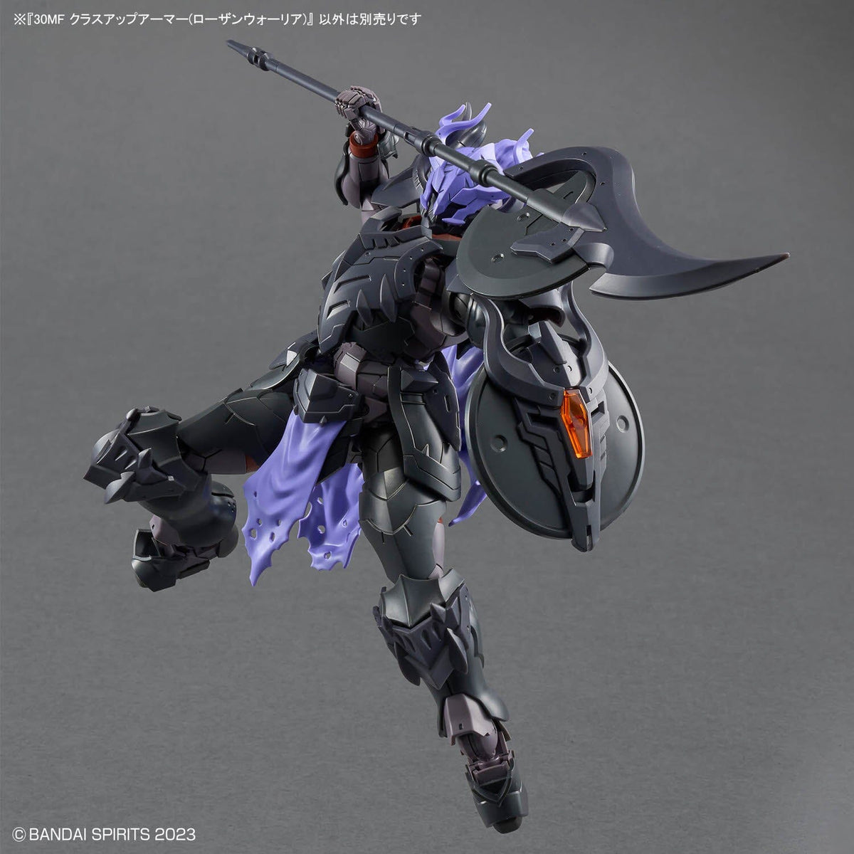 30 Minutes Fantasy Class-Up Armor Rosan Warrior Accessory Set