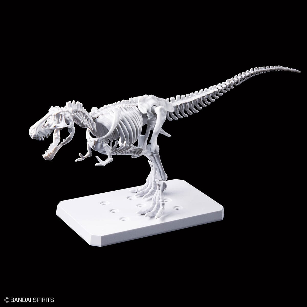Plannosaurus Tyrannosaurus Rex (Painting Ver.) Model Kit