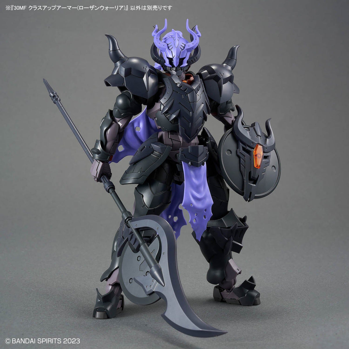 30 Minutes Fantasy Class-Up Armor Rosan Warrior Accessory Set