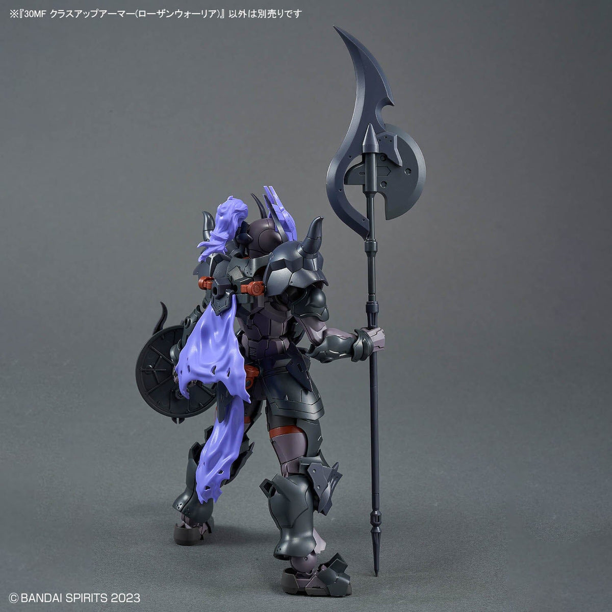 30 Minutes Fantasy Class-Up Armor Rosan Warrior Accessory Set