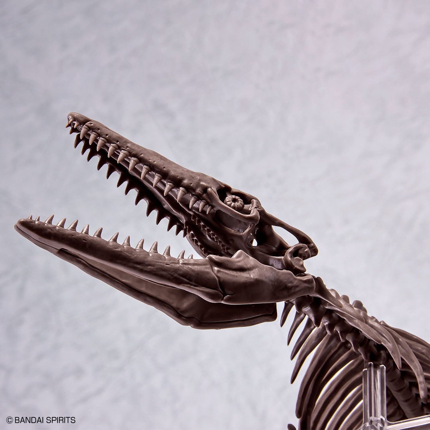 Imaginary Skeleton Mosasaurus 1/32 Scale Model Kit