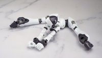 Altered Gene Base Body 01 1/12 Scale Model Kit