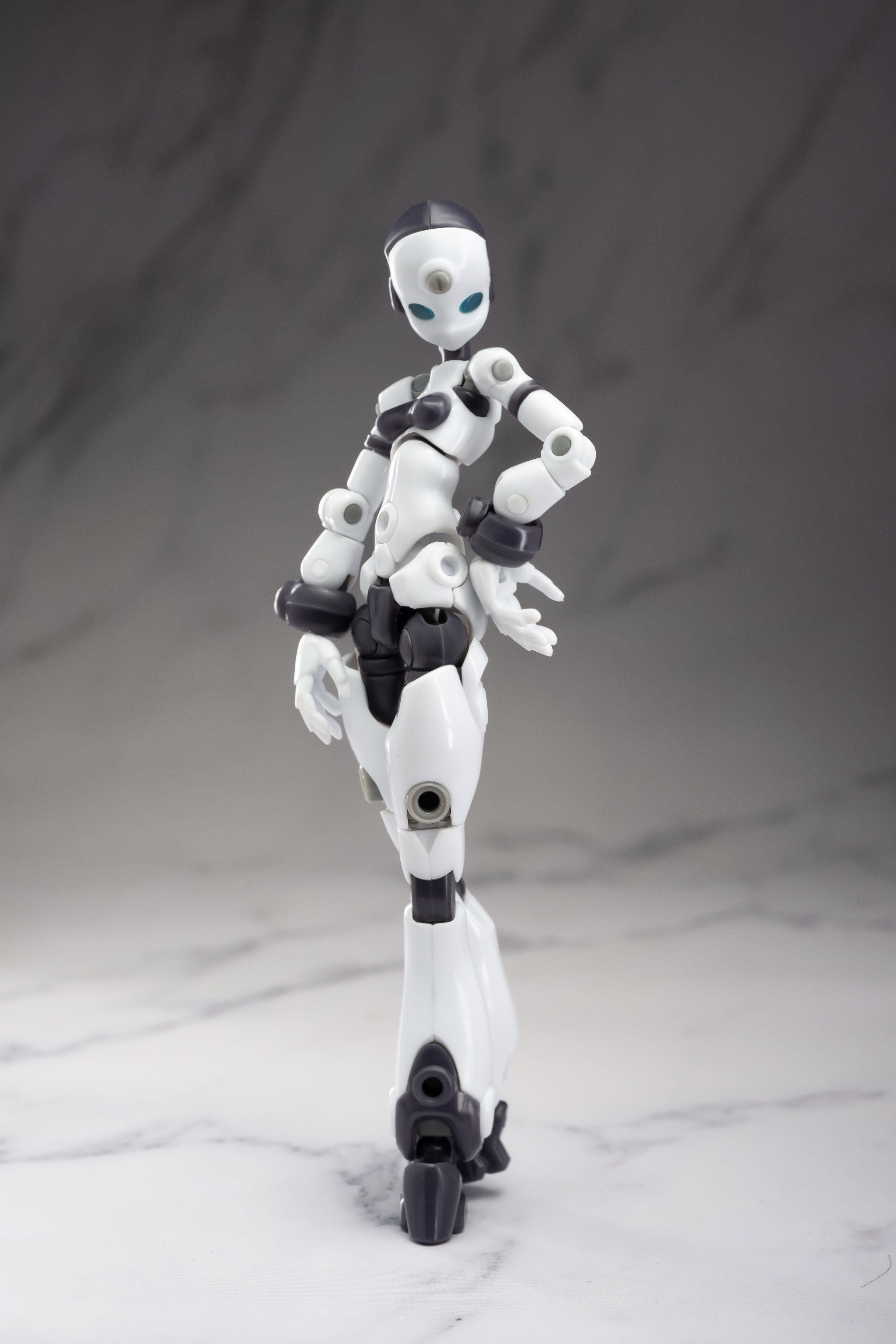 Altered Gene Base Body 01 1/12 Scale Model Kit