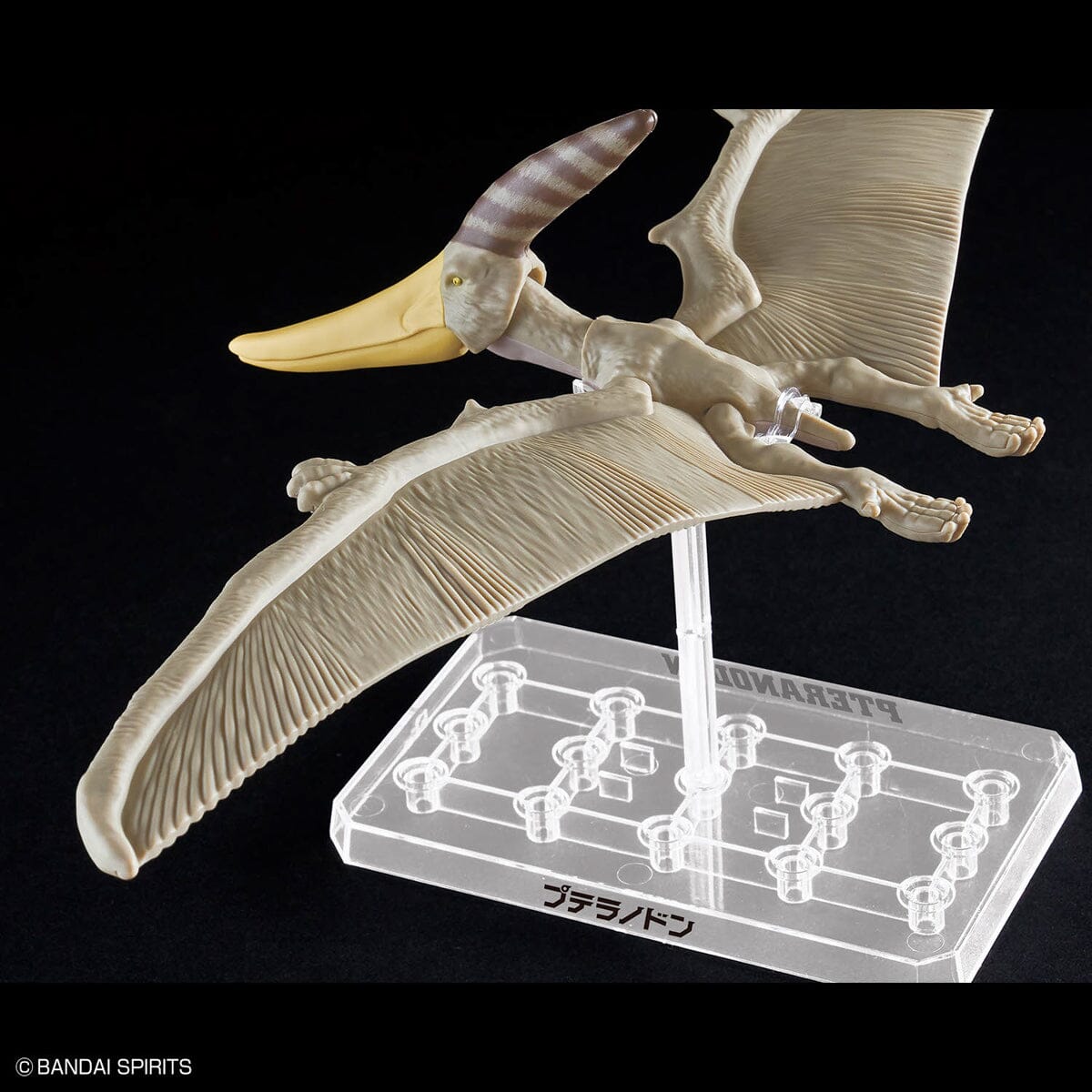 Plannosaurus Pteranodon Model Kit
