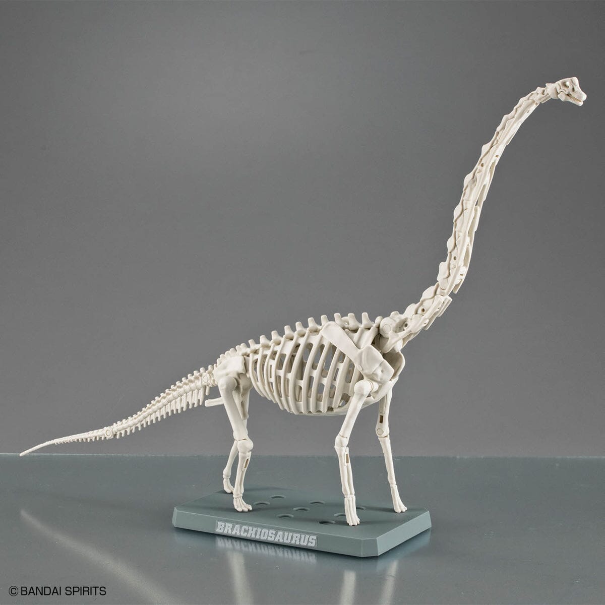 Plannosaurus Brachiosaurus Model Kit