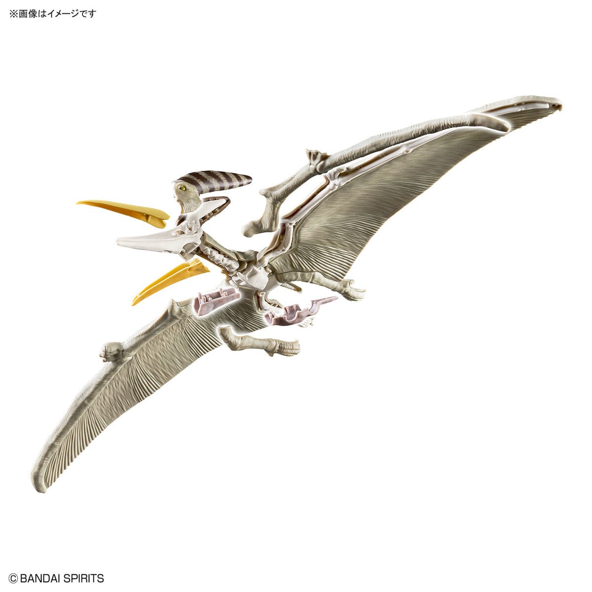 Plannosaurus Pteranodon Model Kit