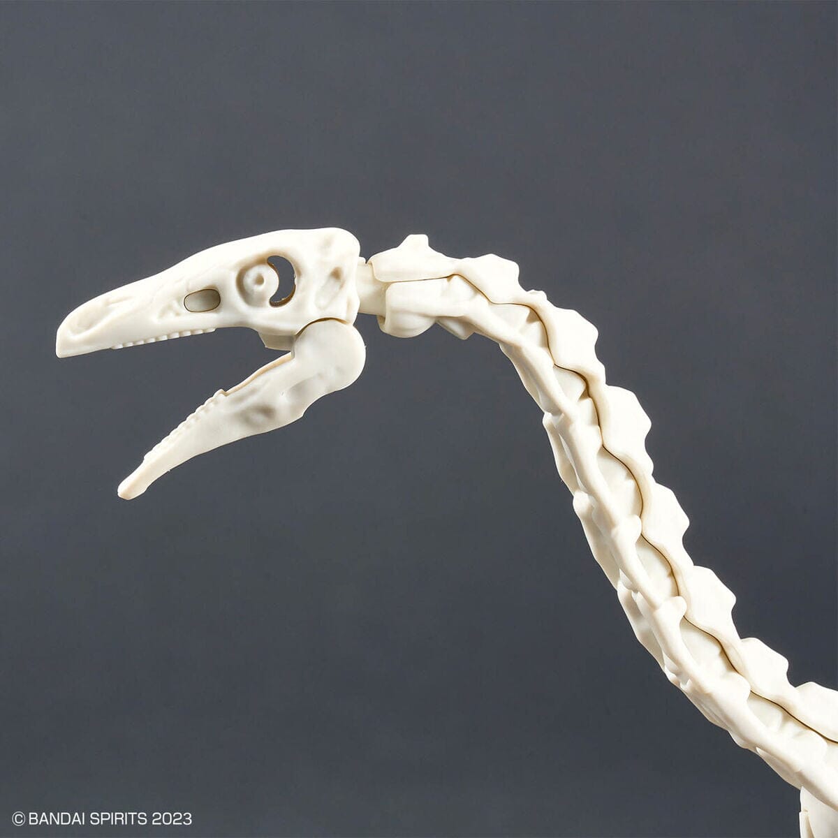 Plannosaurus Therizinosaurus Model Kit