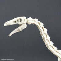 Plannosaurus Therizinosaurus Model Kit