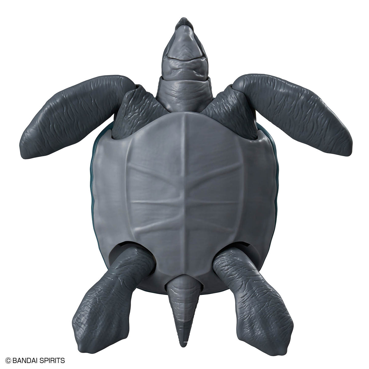 Plannosaurus Archelon Model Kit
