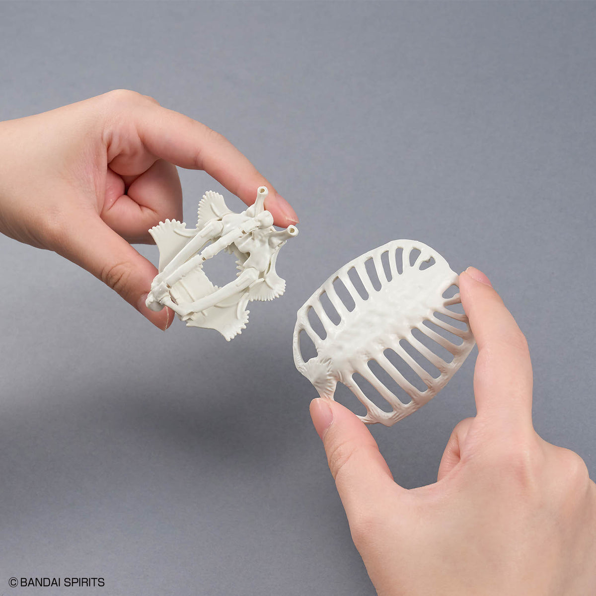 Plannosaurus Archelon Model Kit