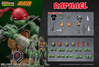 Teenage Mutant Ninja Turtles Raphael Action Figure