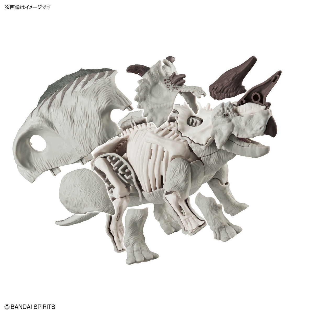 Plannosaurus Pachyrhinosaurus Model Kit