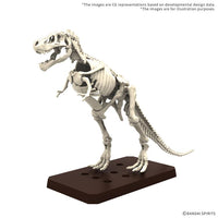 Plannosaurus Tyrannosaurus (1915) Model Kit