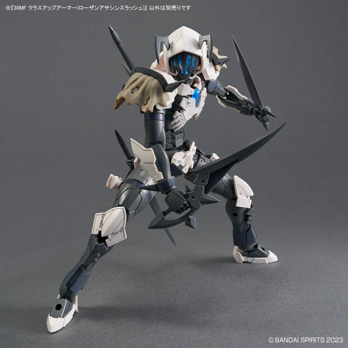 30 Minutes Fantasy Class-Up Armor Rosan Assassin Slash Accessory Set