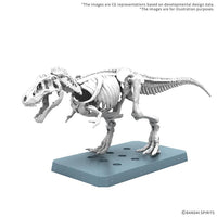 Plannosaurus Tyrannosaurus (Snowfall Area Ver.) Model Kit