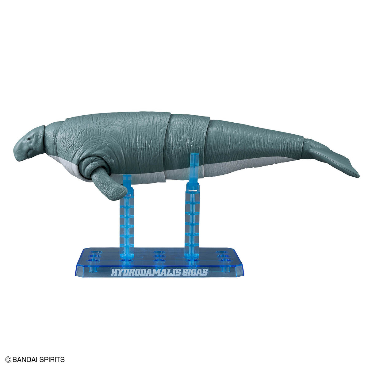 Plannosaurus Hydrodamalis Gigas Model Kit