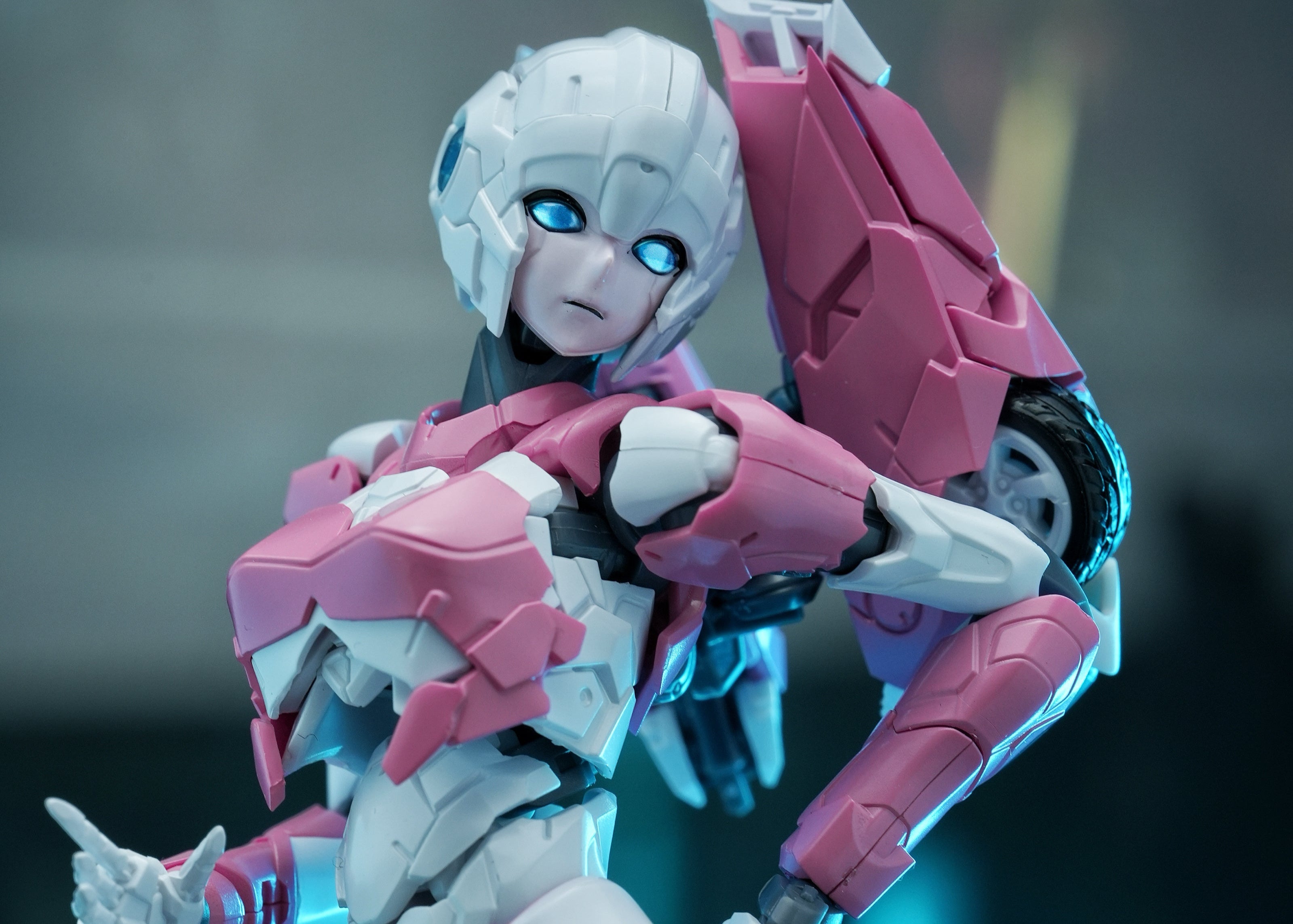 MD Model Arcee Pink Edition