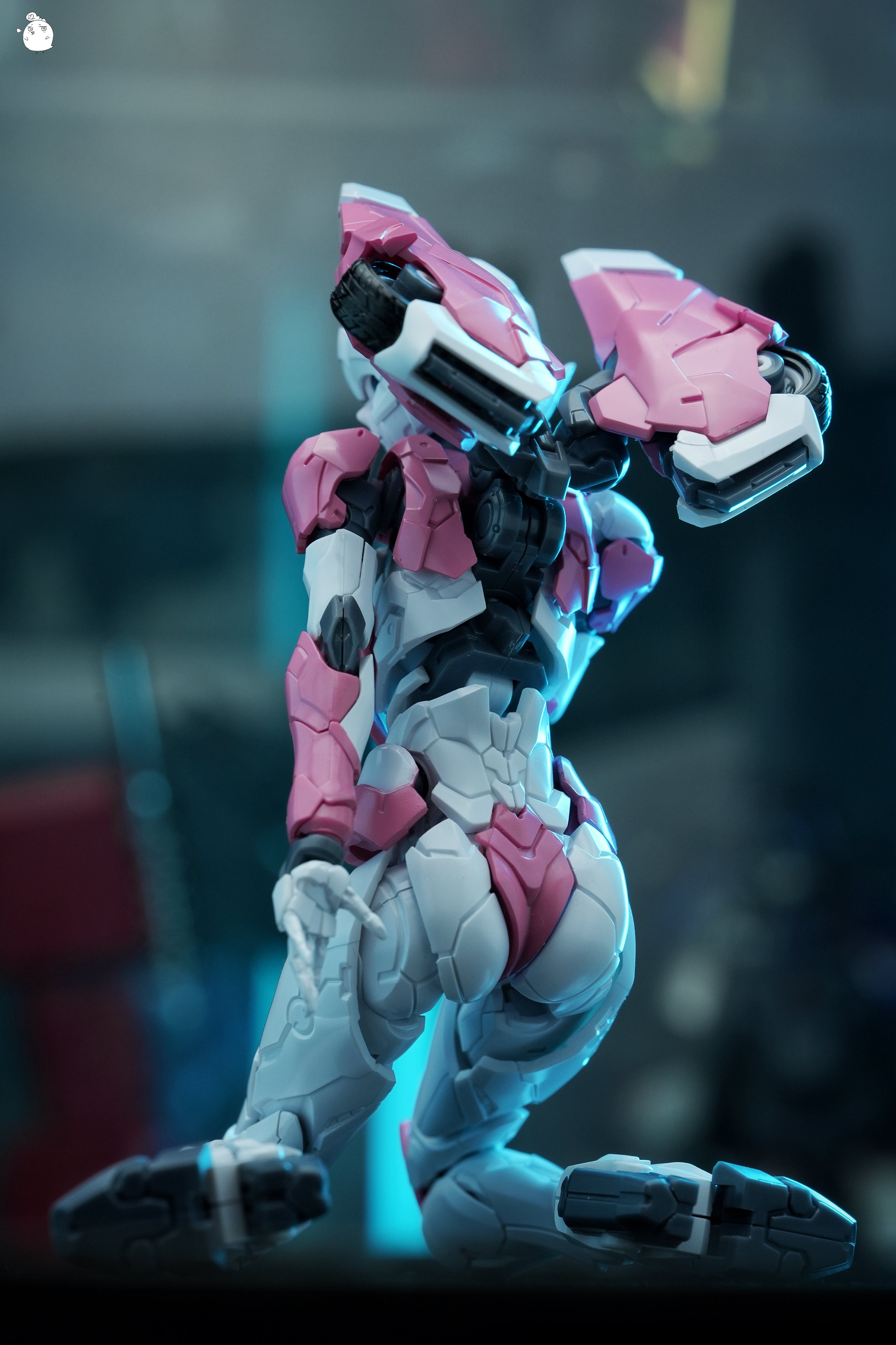 MD Model Arcee Pink Edition
