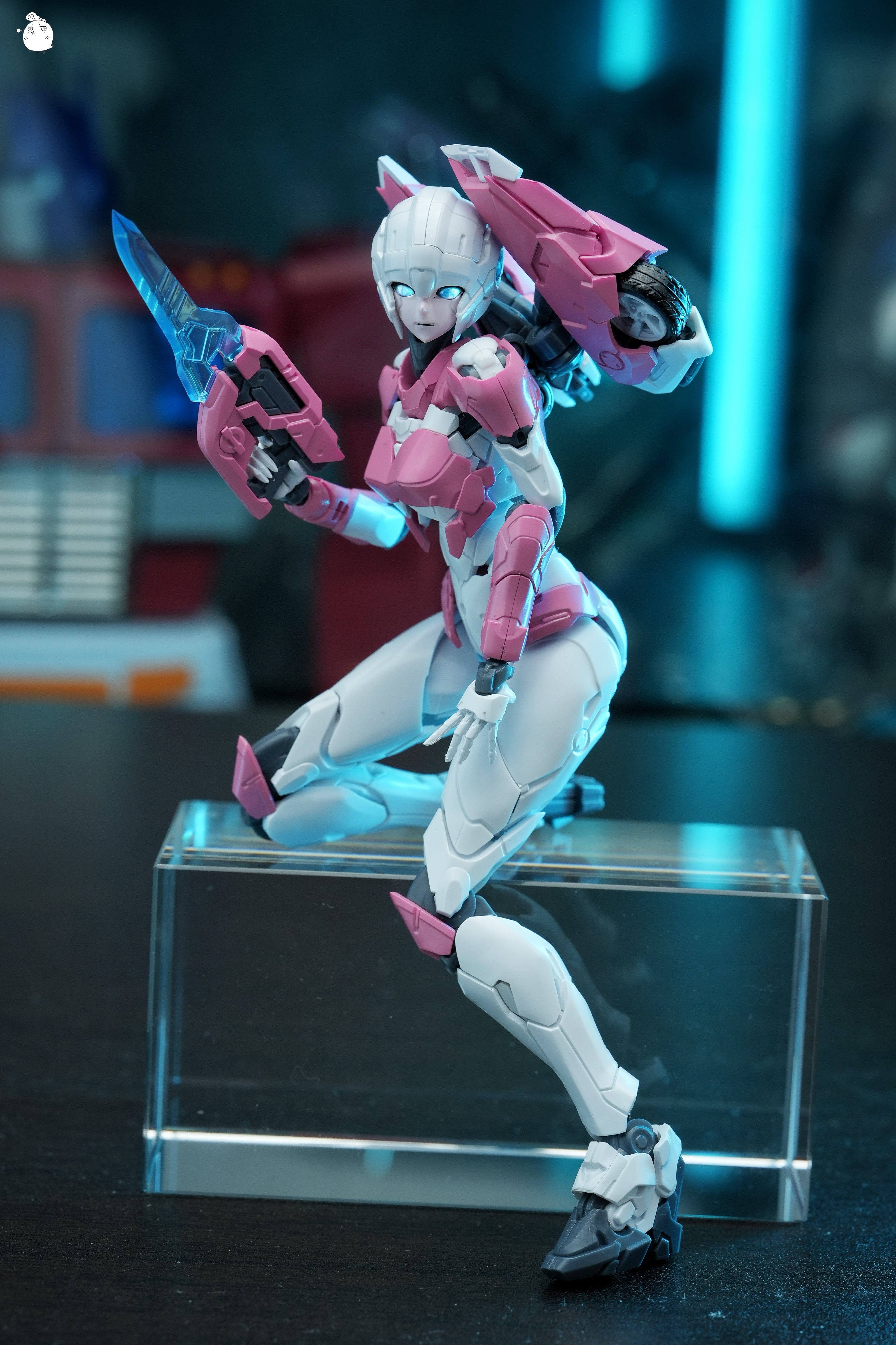 MD Model Arcee Pink Edition
