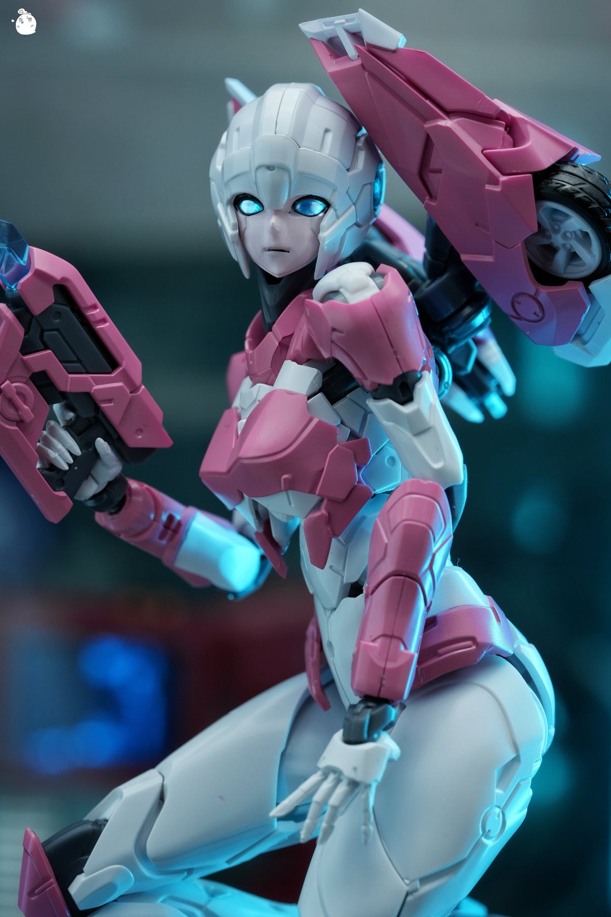 MD Model Arcee Pink Edition