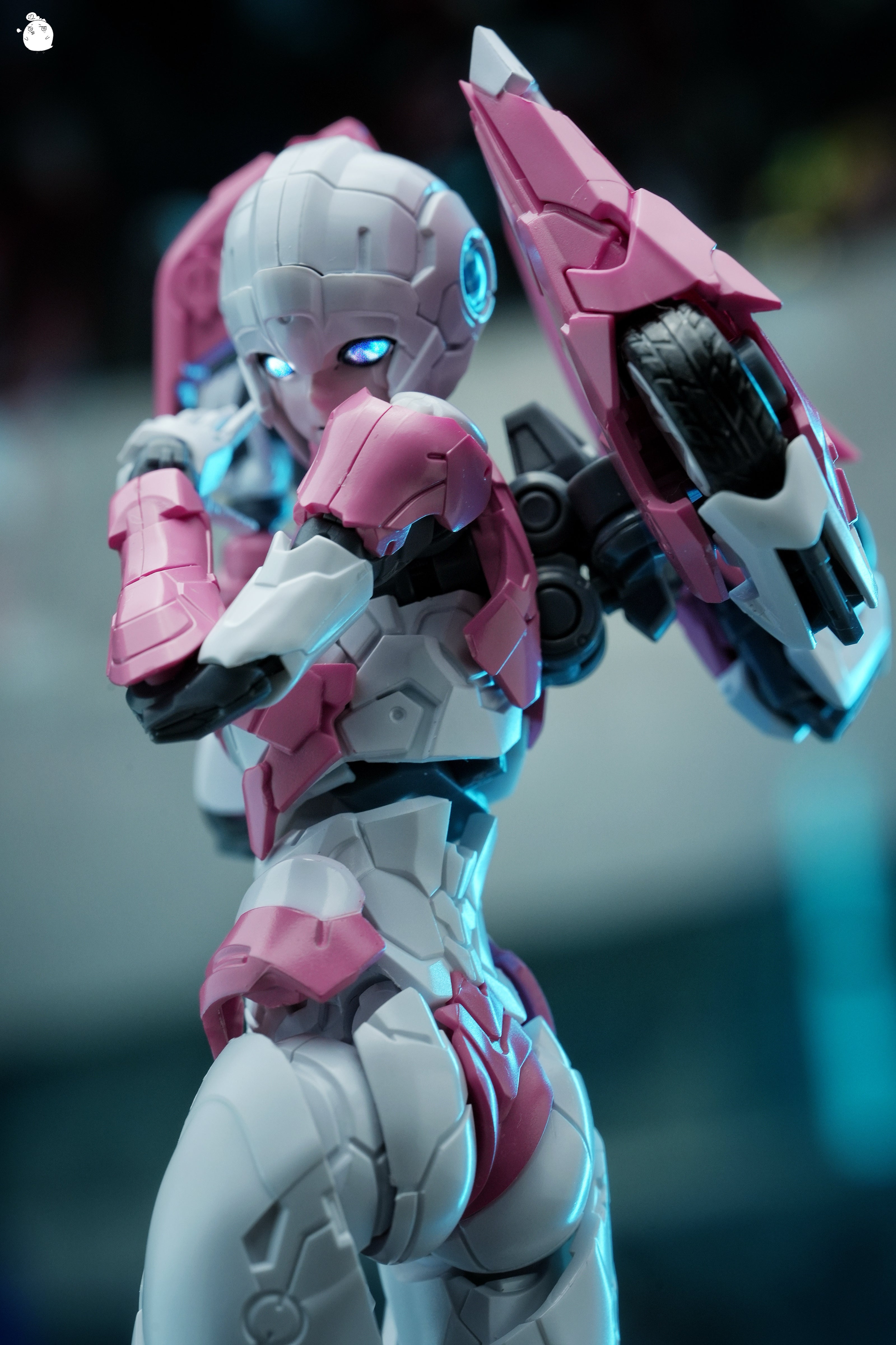 MD Model Arcee Pink Edition