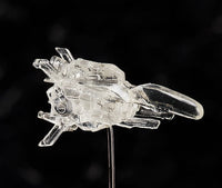 R-Type figma SP-113 Dobkeratops Figure