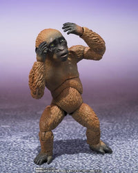 Godzilla x Kong The New Empire S.H.MonsterArts Suko & Mothra