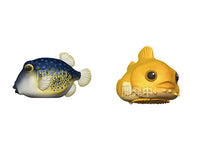Tenori Friends Glossy Amphibians & Sea Creatures Box of 12 Random Figures