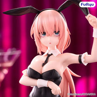 There Is Also a Hole in the Student Organization! BiCute Bunnies Komaro Michinoku Figure