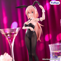 There Is Also a Hole in the Student Organization! BiCute Bunnies Komaro Michinoku Figure
