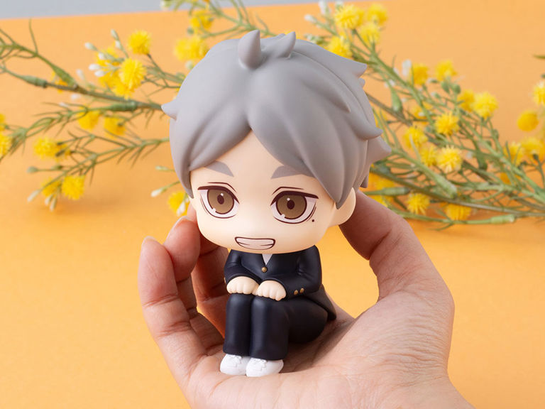 Haikyu!! Look Up Series Koushi Sugawara