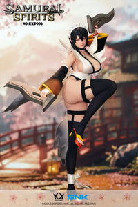 Samurai Shodown (2019) Iroha 1/6 Scale Action Figure